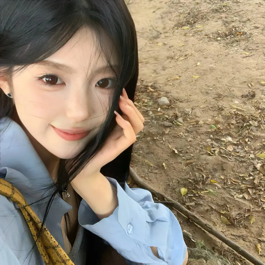 离狼之歌
