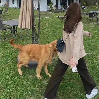 木乃伊博物馆
